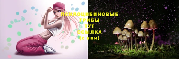 хмурый Алексин