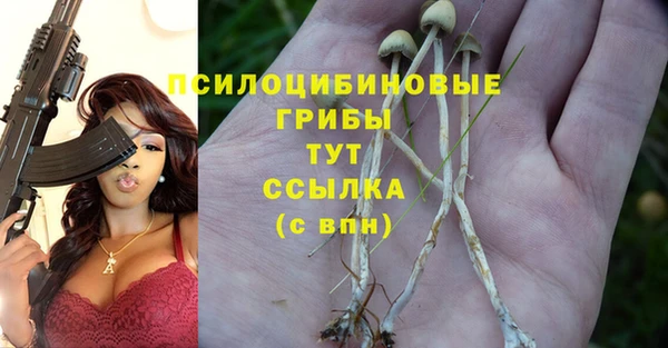 хмурый Алексин