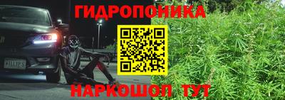 a pvp Гудермес
