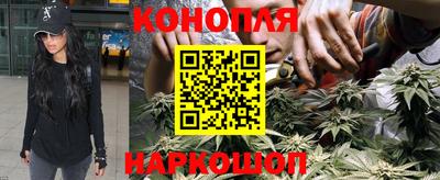 Альфа ПВП Гулькевичи