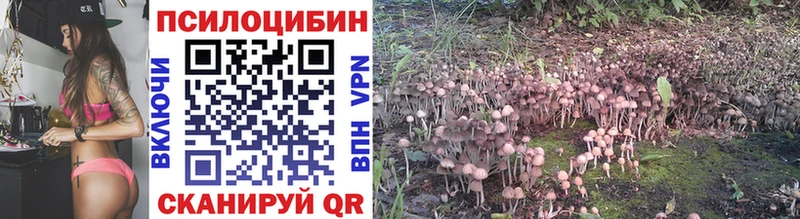 Псилоцибиновые грибы Psilocybine cubensis  Кореновск 